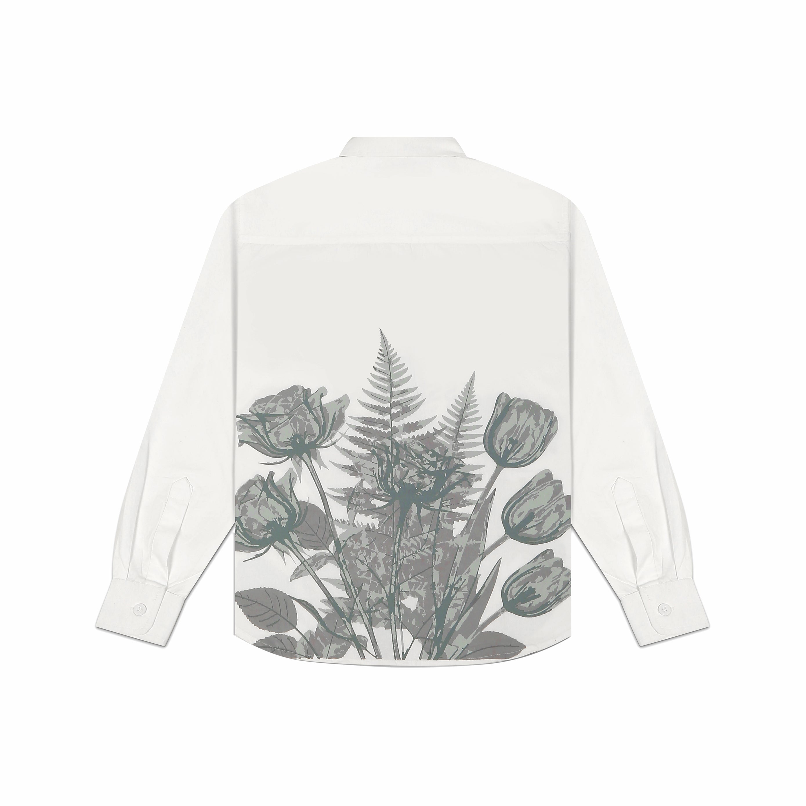 Essence Oxford Shirt